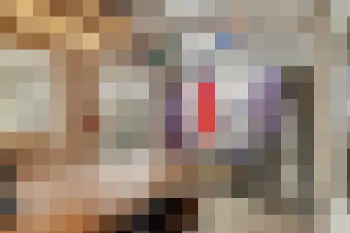 De Alk 16 Almelo thumbnail 33