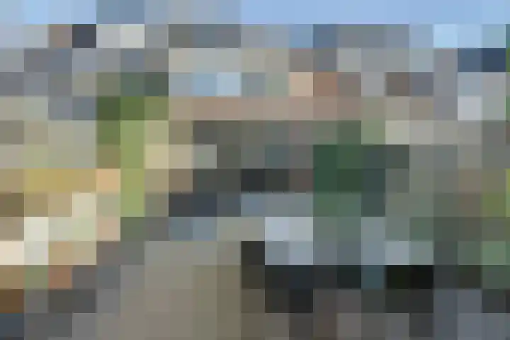 De Alk 16 Almelo thumbnail 34