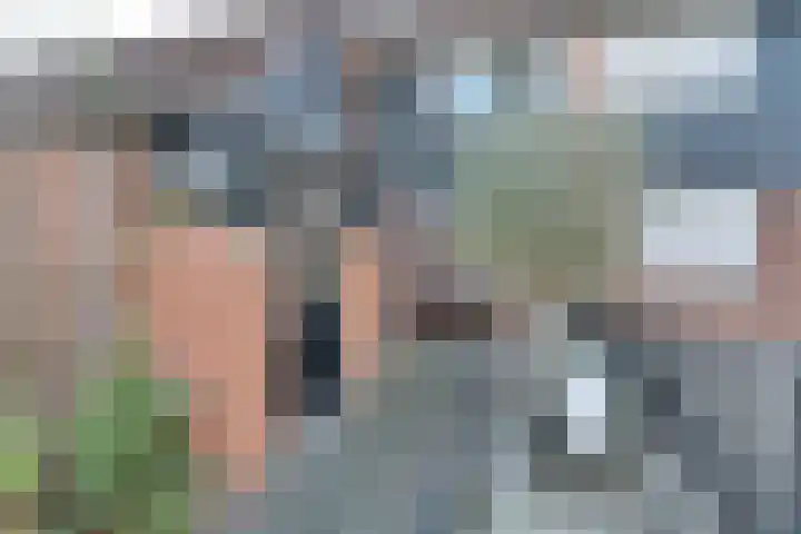 De Alk 16 Almelo thumbnail 4