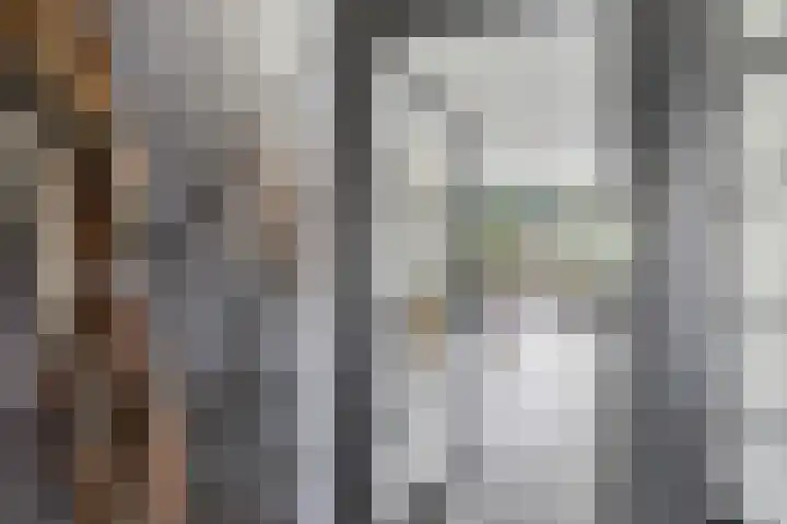 De Alk 16 Almelo thumbnail 7
