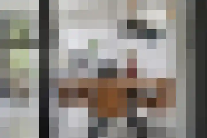 De Alk 16 Almelo thumbnail 8
