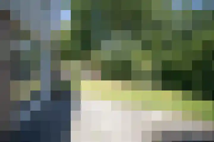 De Alk 23 Almelo thumbnail 22