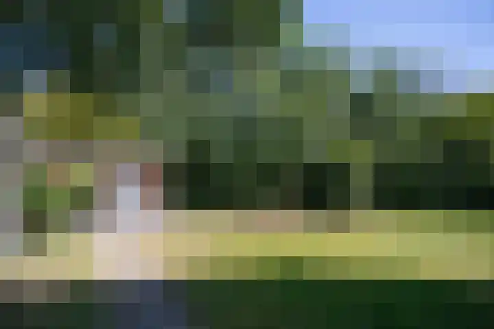 De Alk 23 Almelo thumbnail 24