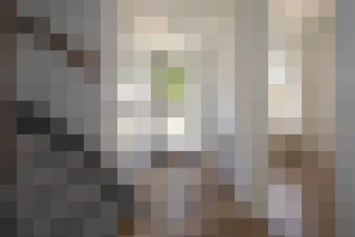 De Alk 23 Almelo thumbnail 6