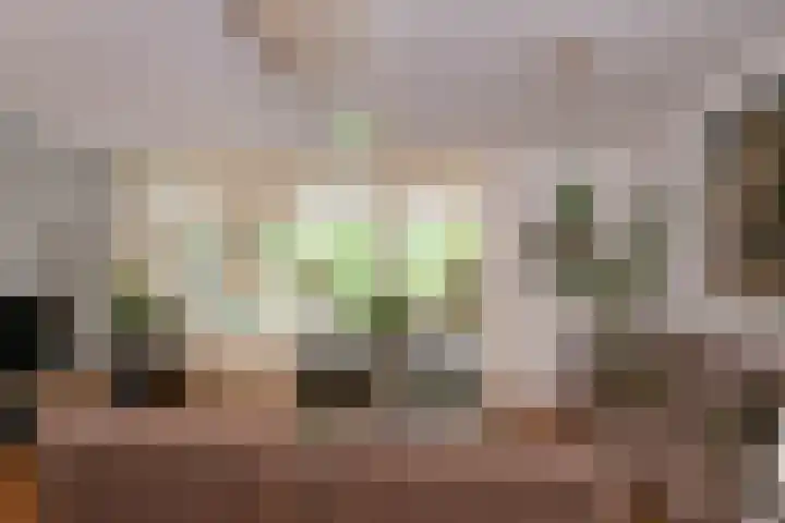 De Alk 27 Almelo thumbnail 10