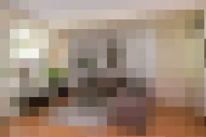 De Alk 27 Almelo thumbnail 13