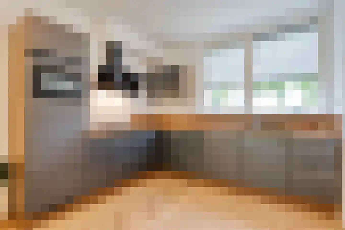 De Alk 27 Almelo thumbnail 16