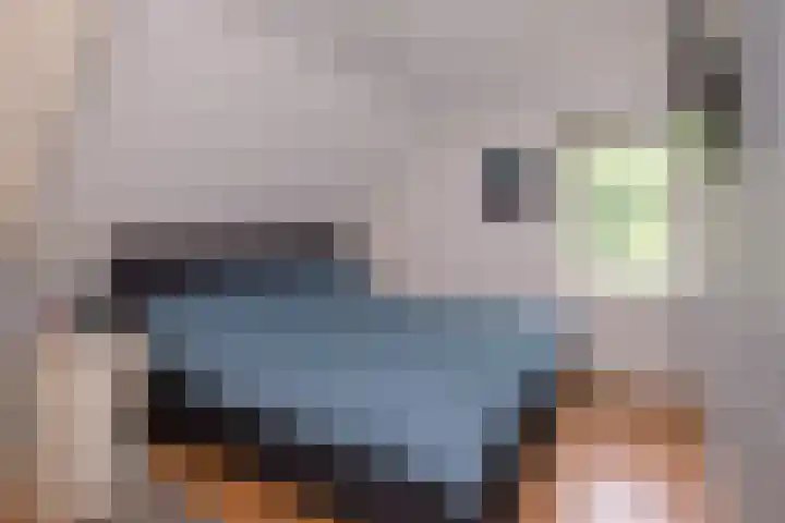 De Alk 27 Almelo thumbnail 17