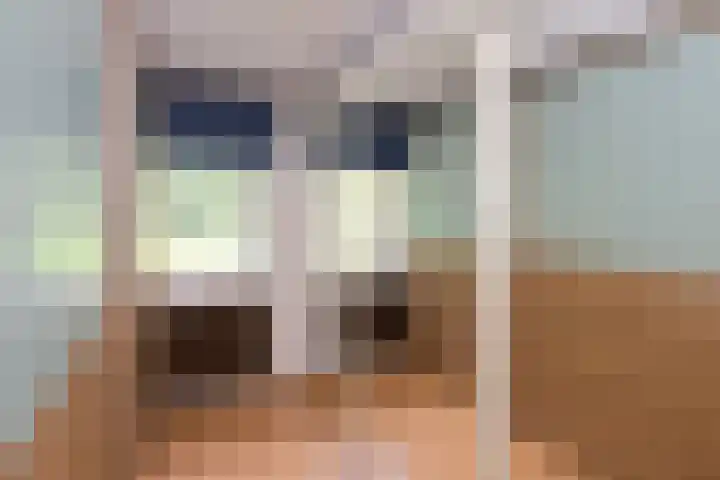 De Alk 27 Almelo thumbnail 19