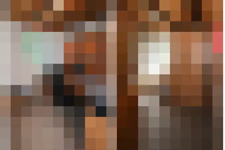 De Alk 27 Almelo thumbnail 22