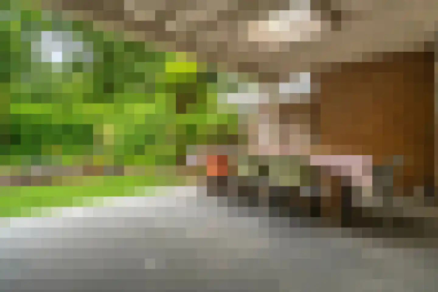 De Alk 27 Almelo thumbnail 38