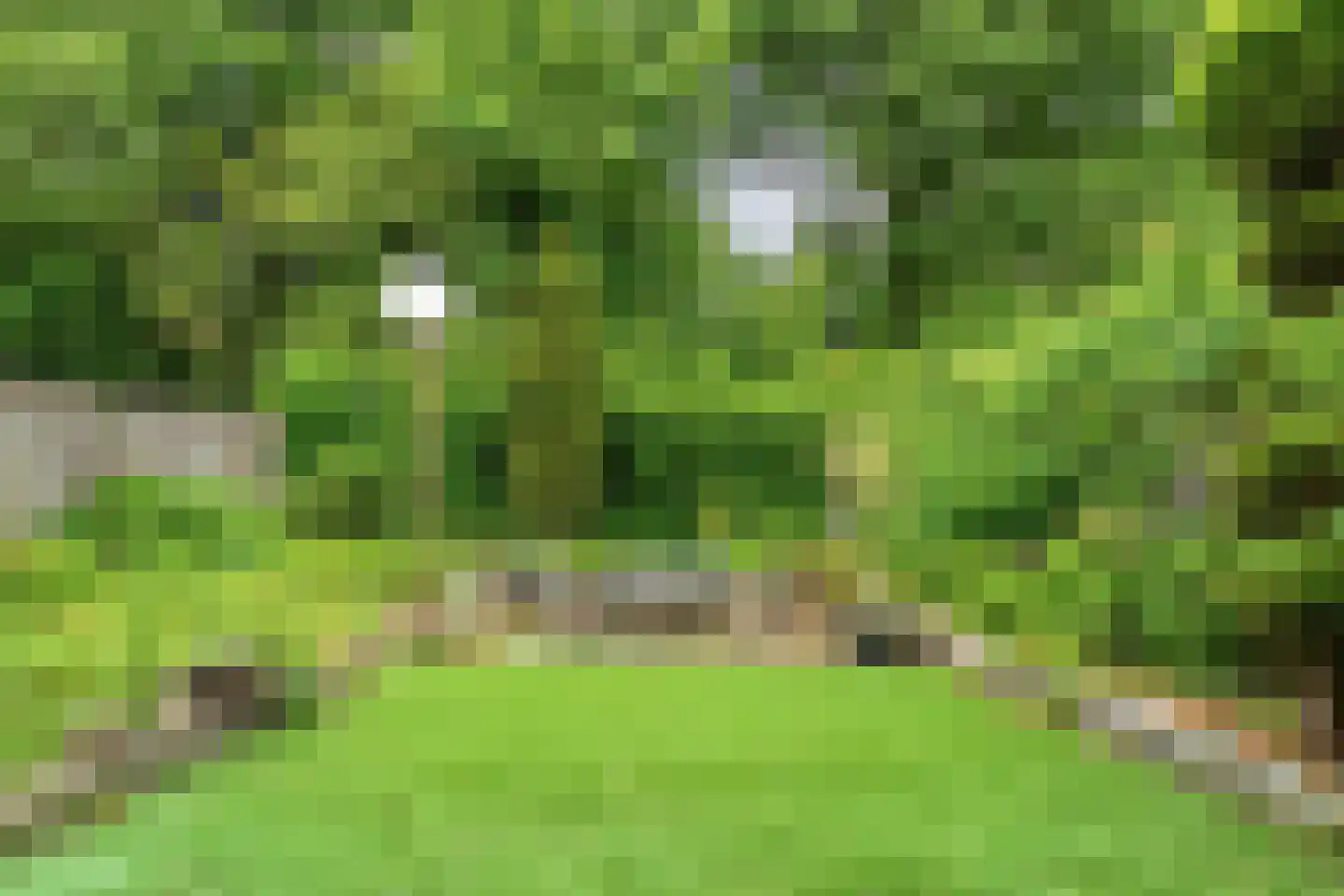 De Alk 27 Almelo thumbnail 39