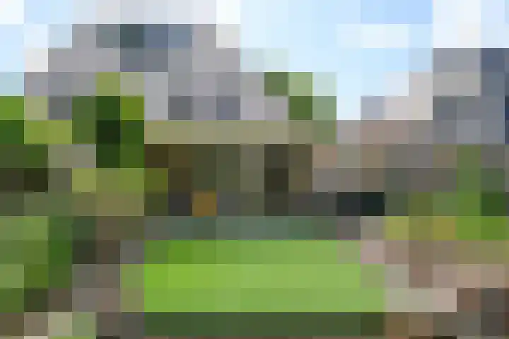 De Alk 27 Almelo thumbnail 4