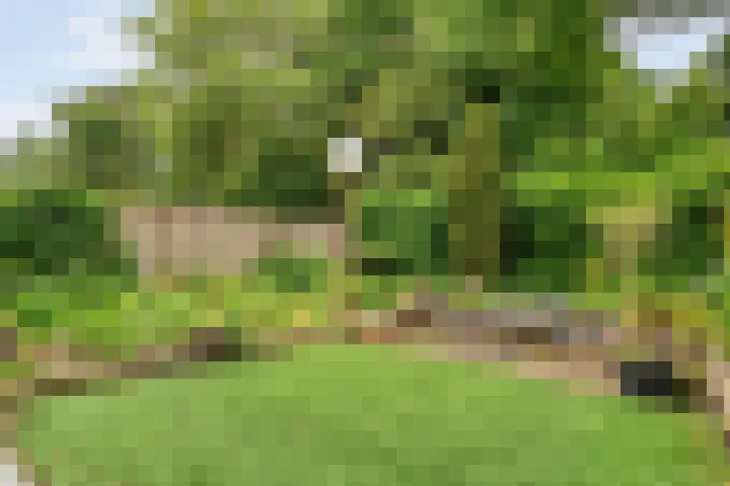 De Alk 27 Almelo thumbnail 40