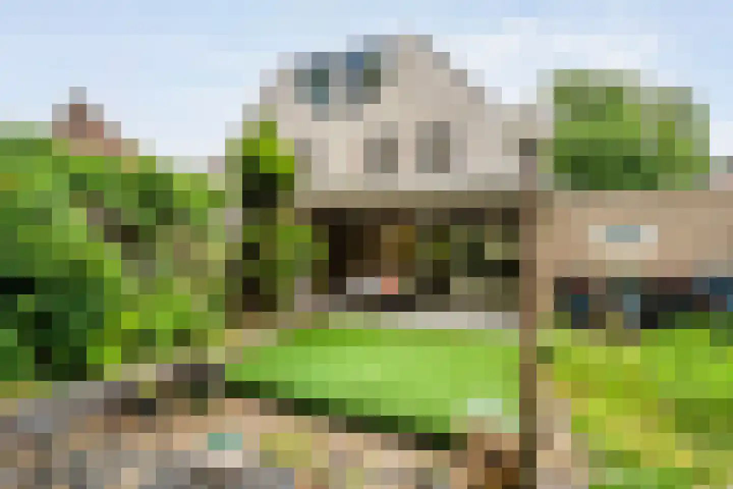 De Alk 27 Almelo thumbnail 41