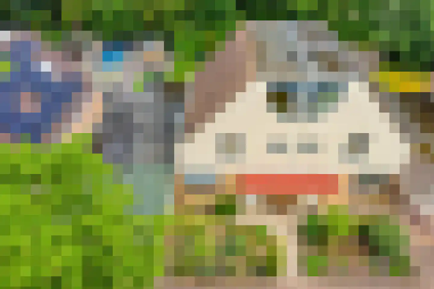 De Alk 27 Almelo thumbnail 42