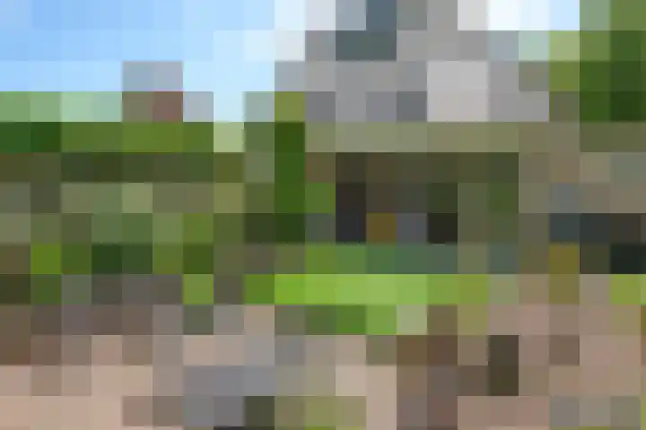 De Alk 27 Almelo thumbnail 5