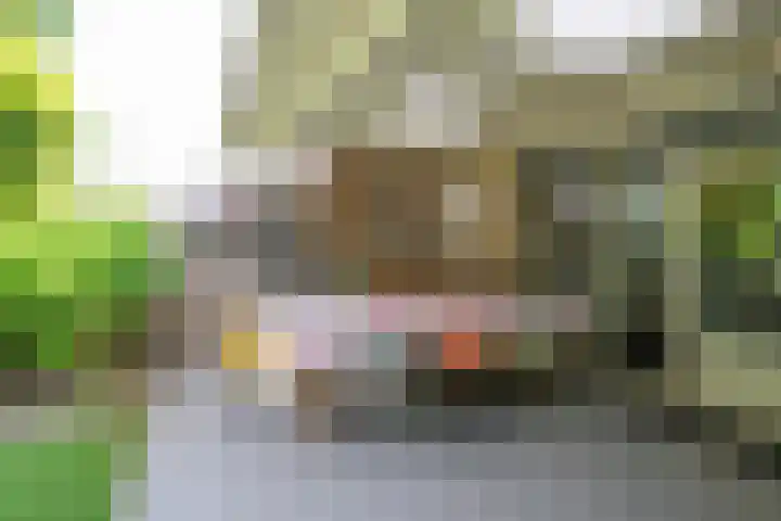 De Alk 27 Almelo thumbnail 6