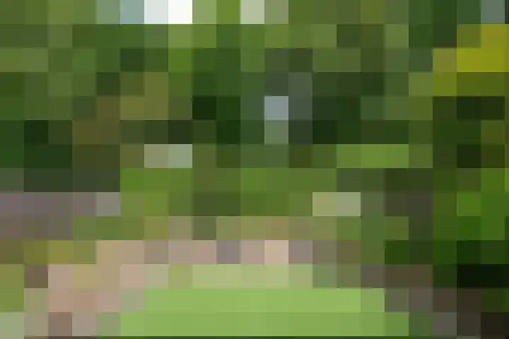 De Alk 27 Almelo thumbnail 7