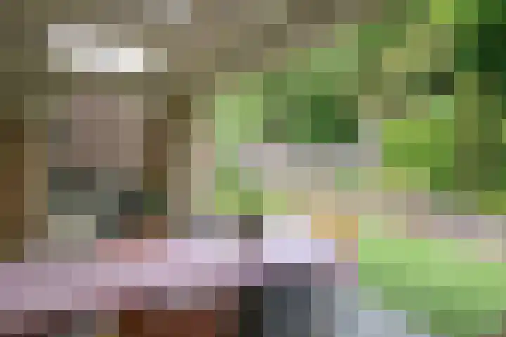 De Alk 27 Almelo thumbnail 8
