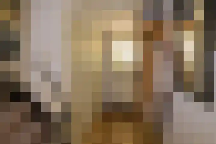 De Alk 27 Almelo thumbnail 9