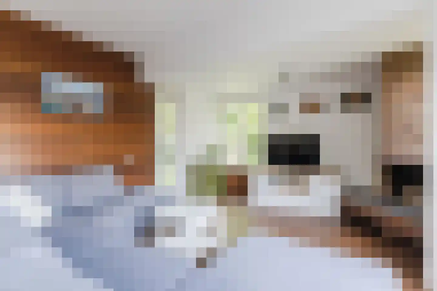 De Almanak 23 Zaandam thumbnail 12