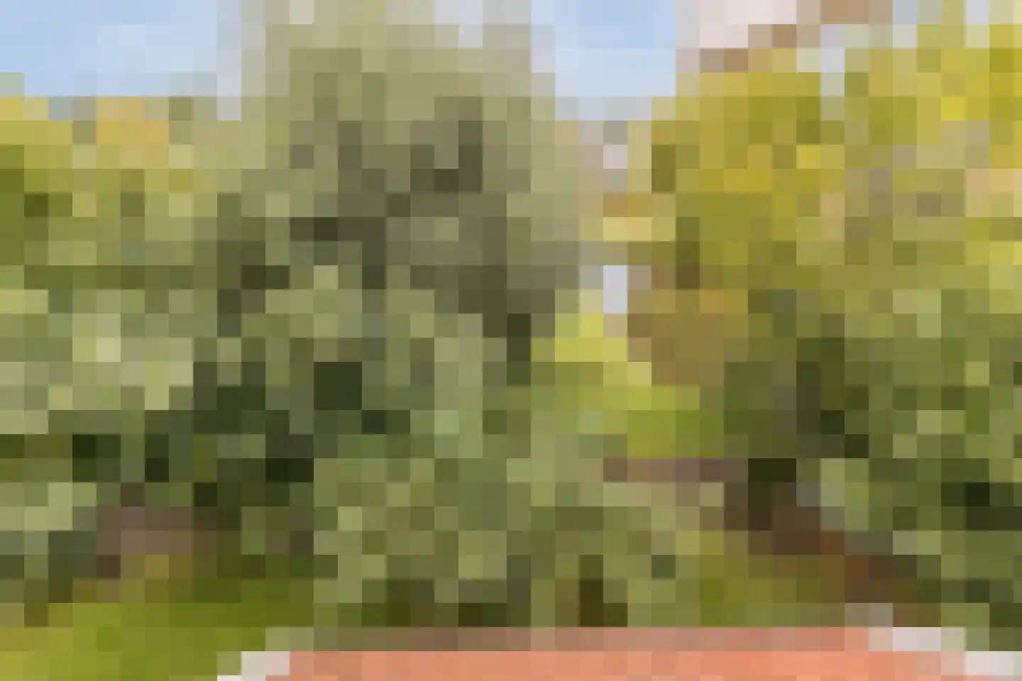 De Almanak 23 Zaandam thumbnail 36