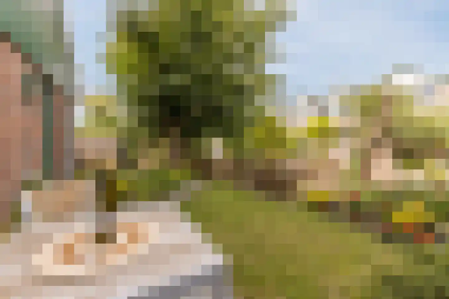 De Almanak 23 Zaandam thumbnail 38