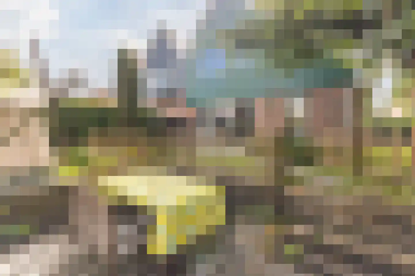 De Almanak 23 Zaandam thumbnail 41