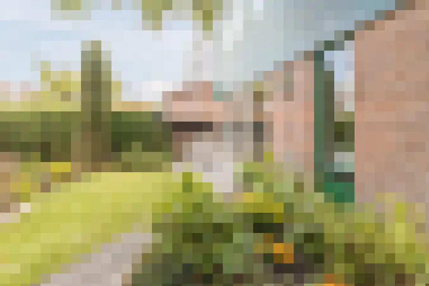 De Almanak 23 Zaandam thumbnail 42