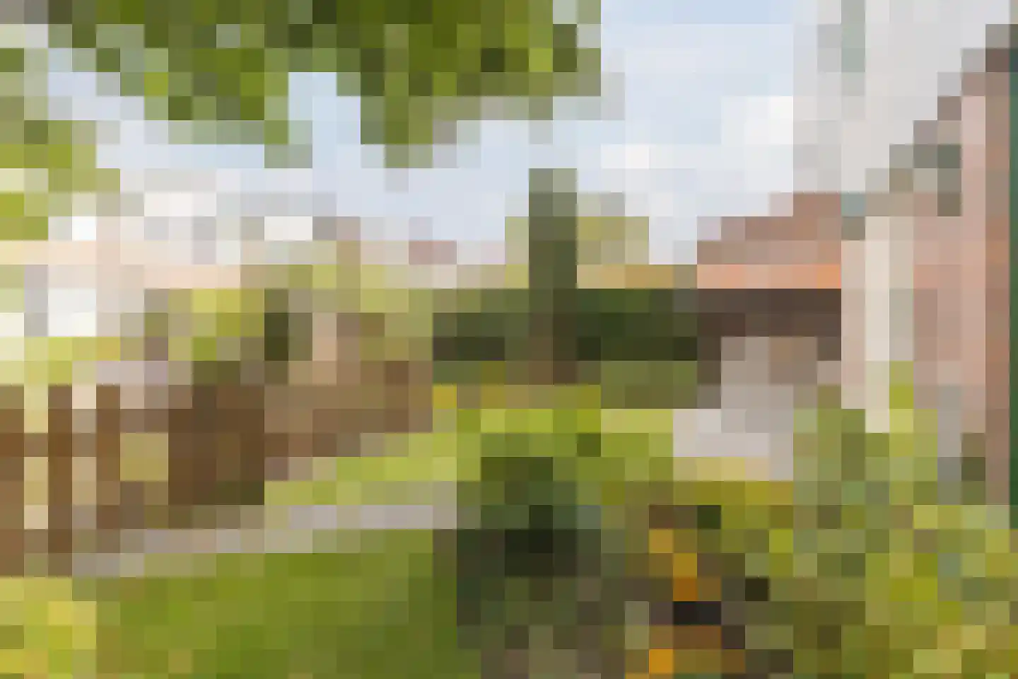 De Almanak 23 Zaandam thumbnail 43