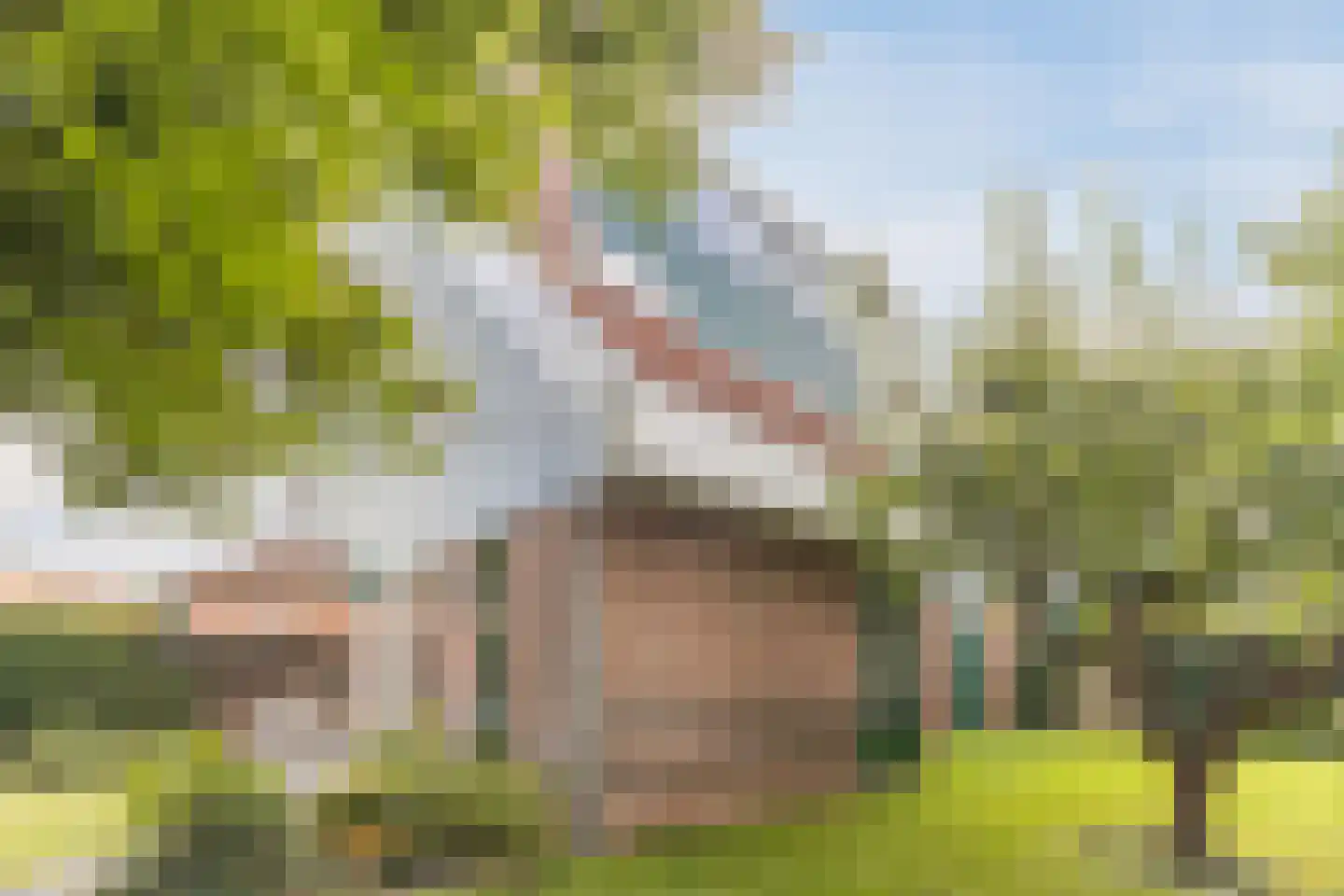 De Almanak 23 Zaandam thumbnail 44