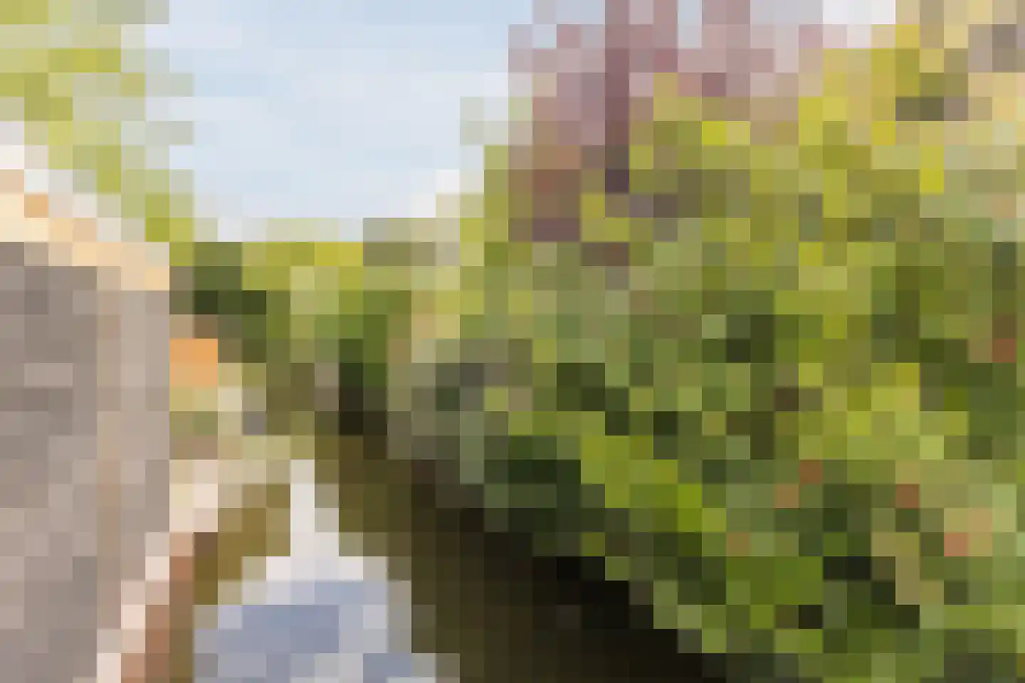 De Almanak 23 Zaandam thumbnail 48
