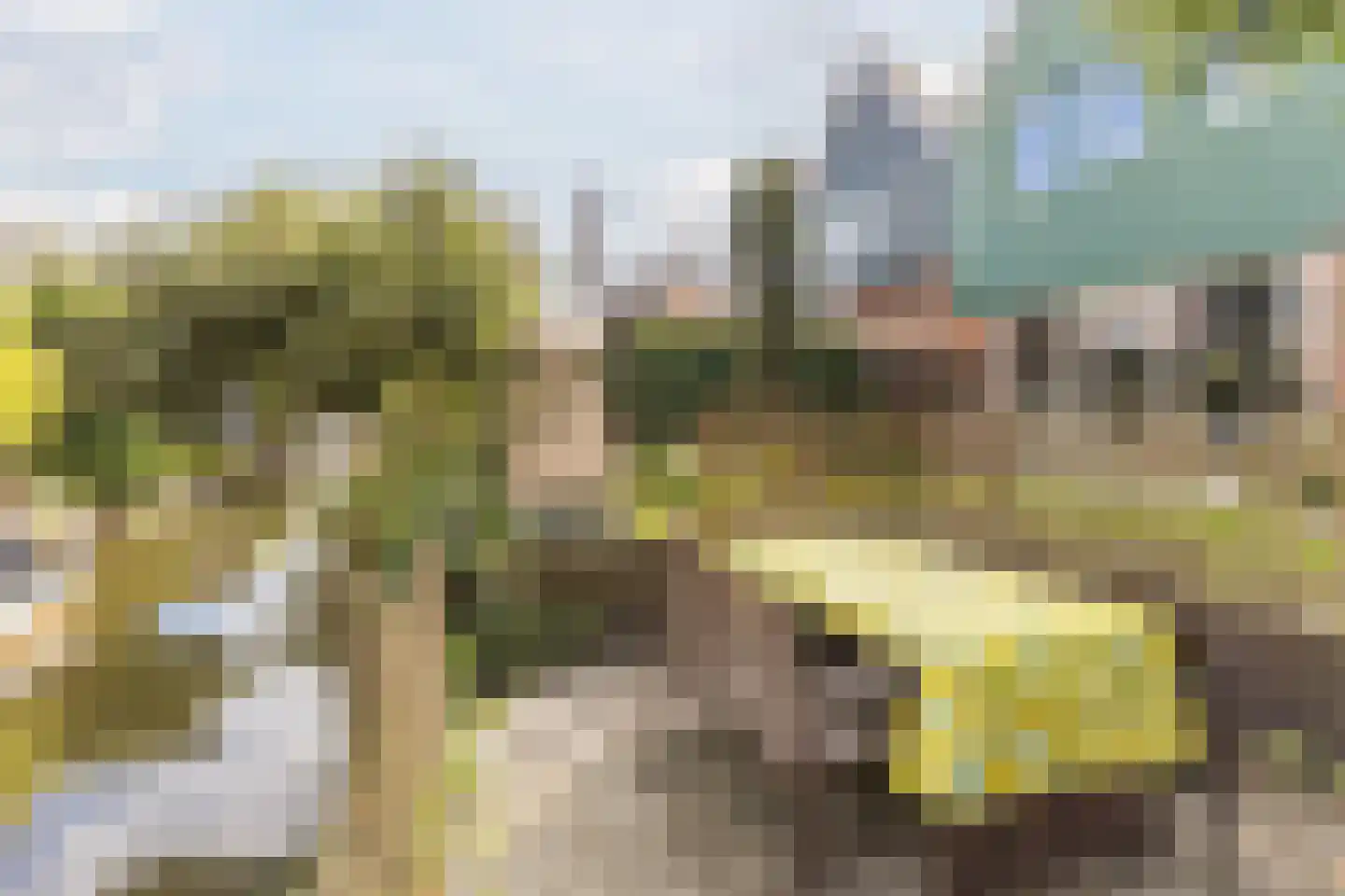 De Almanak 23 Zaandam thumbnail 5
