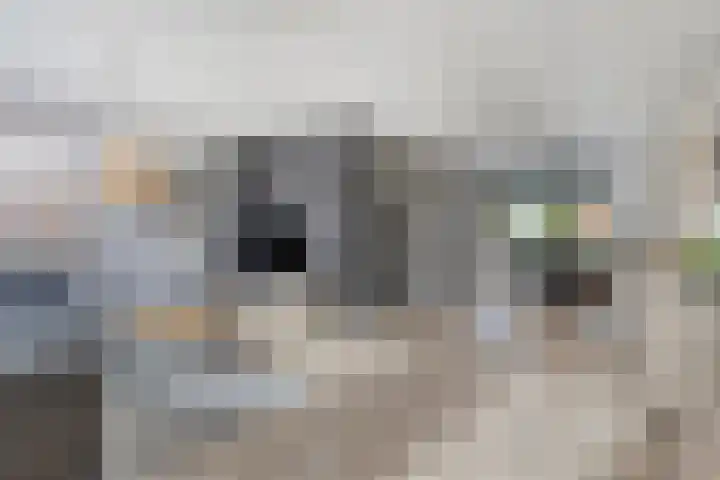 De Amazone 5 Dronten thumbnail 14