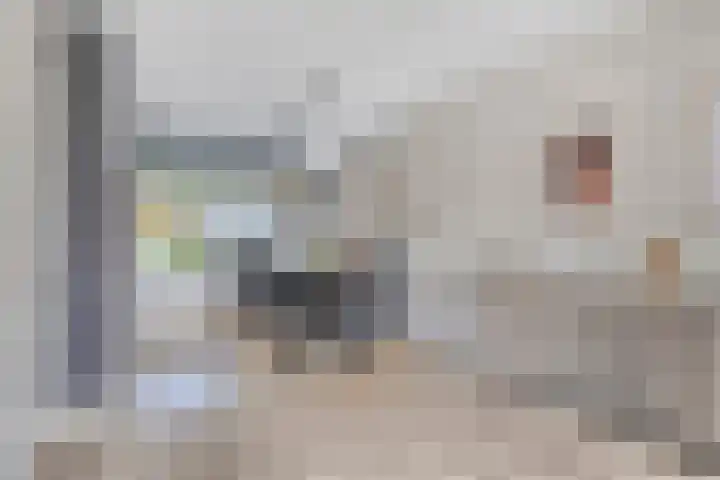 De Amazone 5 Dronten thumbnail 15
