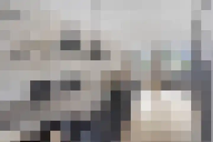 De Amazone 5 Dronten thumbnail 16