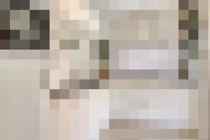 De Amazone 5 Dronten thumbnail 17