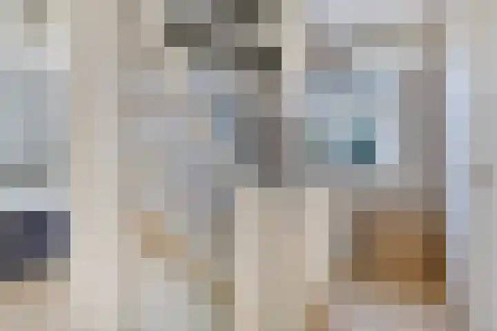 De Amazone 5 Dronten thumbnail 20