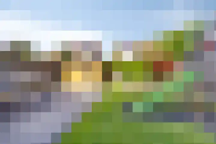 De Amazone 5 Dronten thumbnail 36