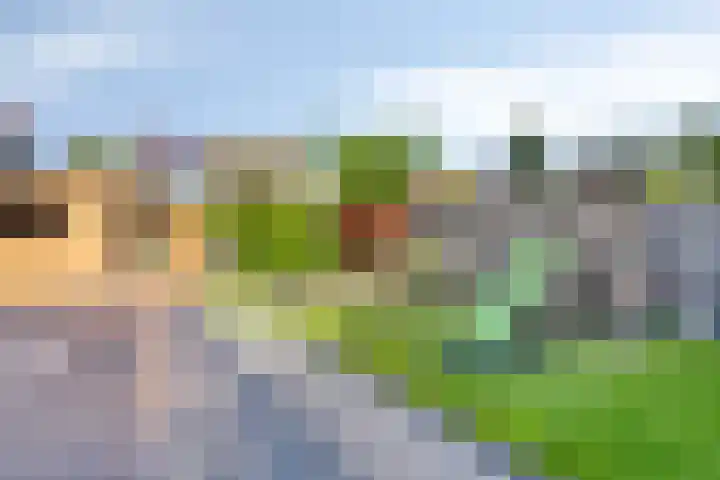 De Amazone 5 Dronten thumbnail 37