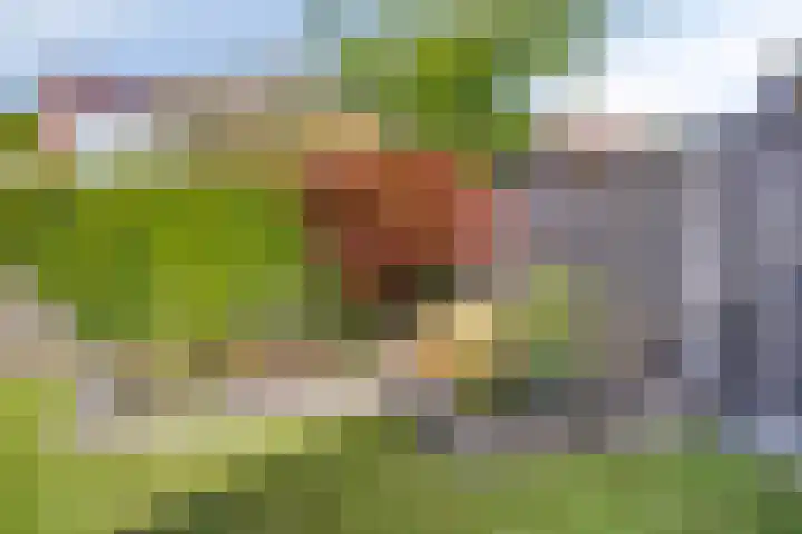 De Amazone 5 Dronten thumbnail 38