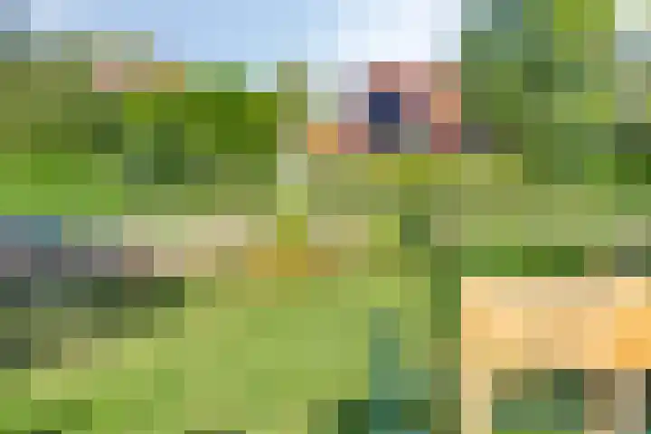 De Amazone 5 Dronten thumbnail 41