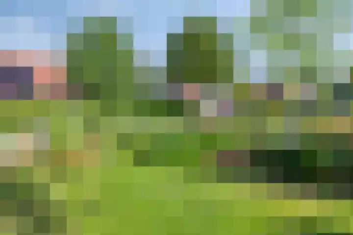 De Amazone 5 Dronten thumbnail 42