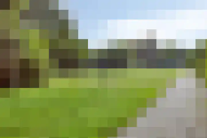De Amazone 5 Dronten thumbnail 44