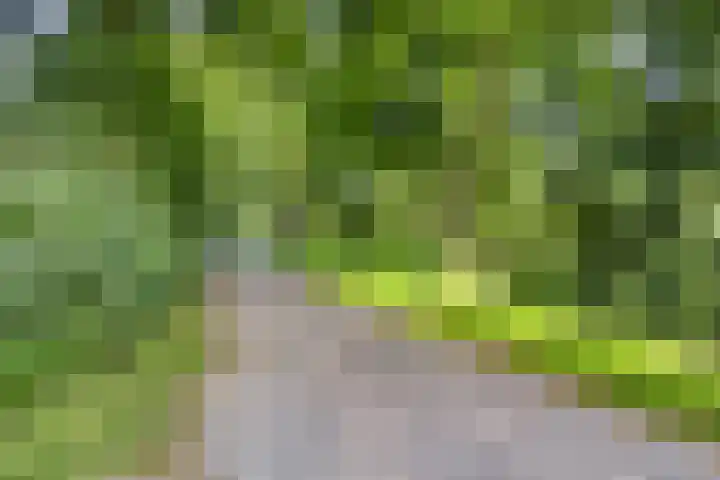 De Amazone 5 Dronten thumbnail 45