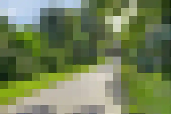 De Amazone 5 Dronten thumbnail 46
