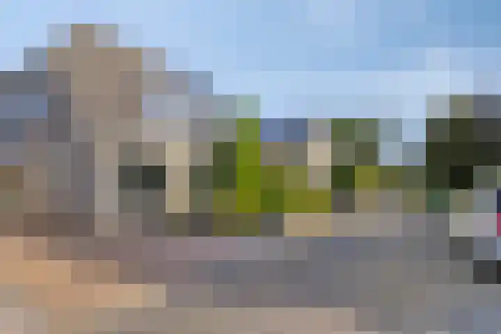 De Amazone 5 Dronten thumbnail 7