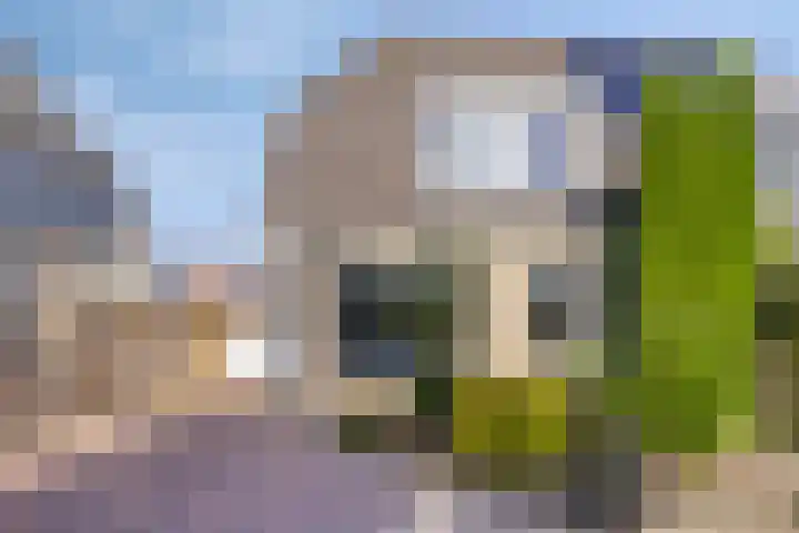 De Amazone 5 Dronten thumbnail 8