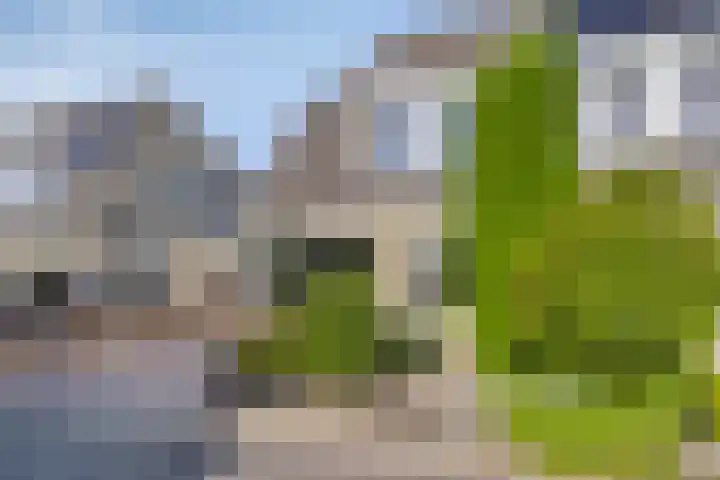 De Amazone 5 Dronten thumbnail 9